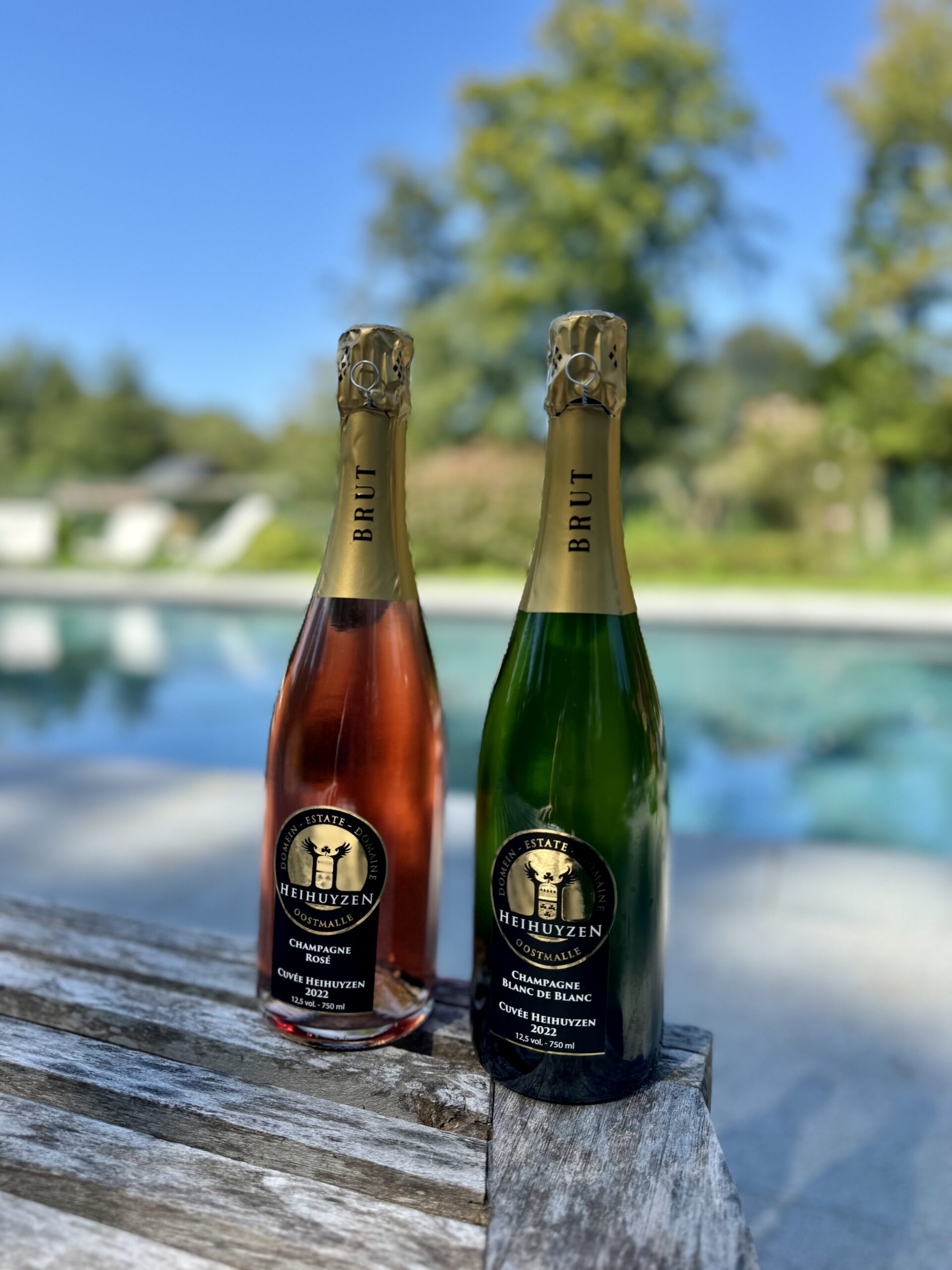 Champagne cuvée Heihuyzen blanc et rosé